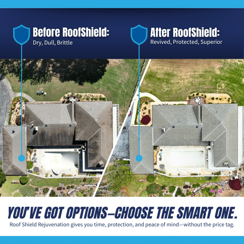 Roof Shield asphalt shingle rejuvenation before and after image.
